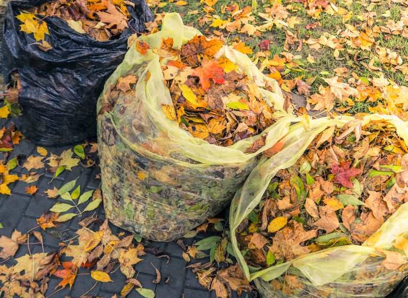 Fall Clean Up Service