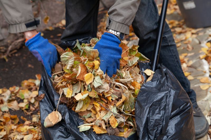 Fall Clean Up Service