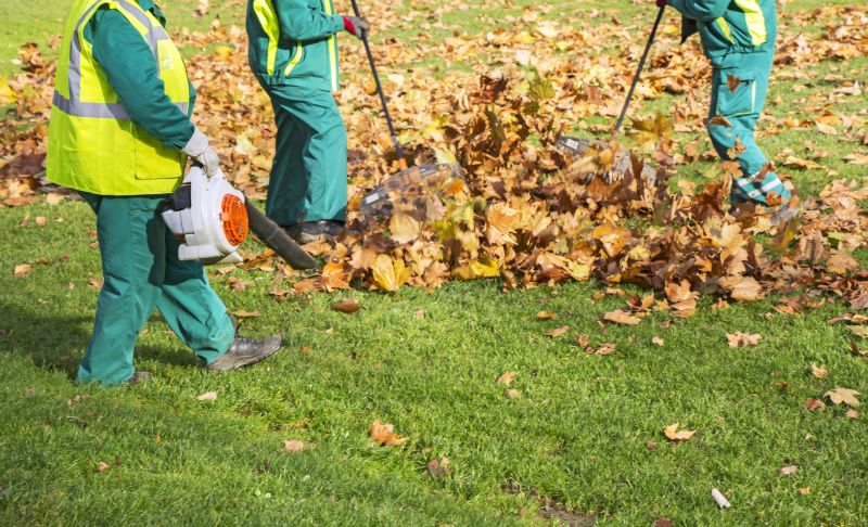 Fall Clean Up Service — Cost of Fall Clean Up Service