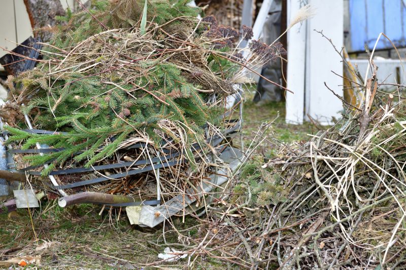 Fall Clean Up Service — Cost of Fall Clean Up Service