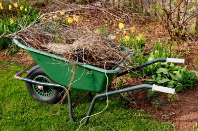 Fall Clean Up Service — Cost of Fall Clean Up Service