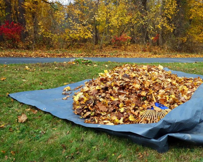 Fall Leaves Removal