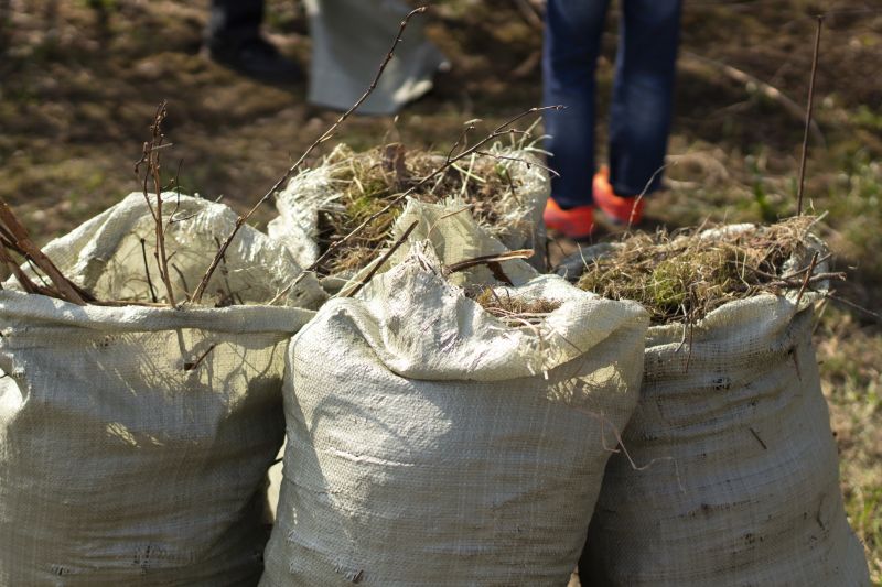 Fall Clean Up Service