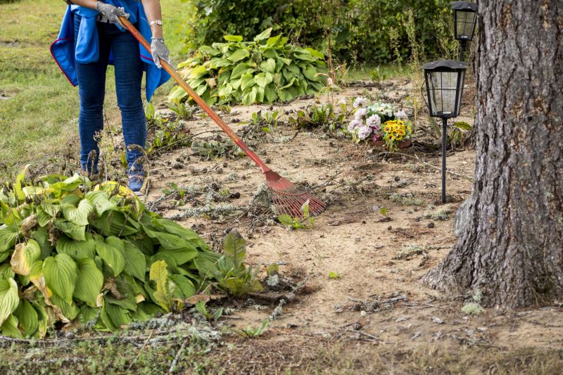 Fall Clean Up Service