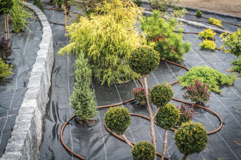 Landscaping Modification in Ventura County, CA