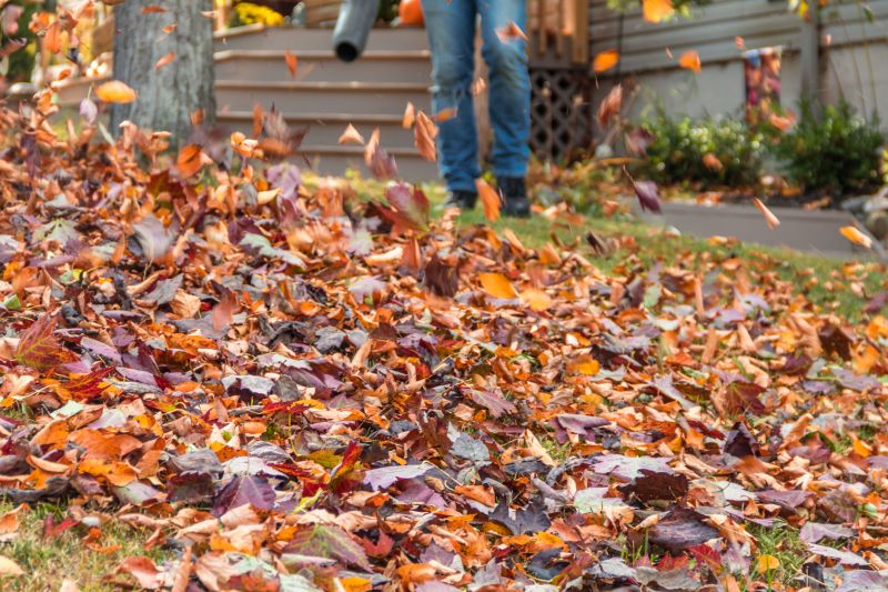 Leaf Removal in Ventura County, CA