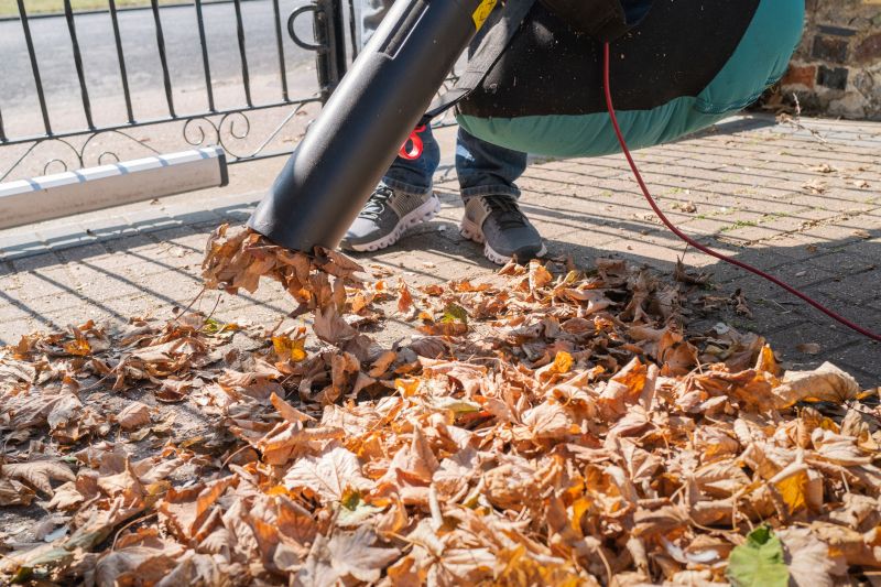 Leaf Removal in Ventura County, CA