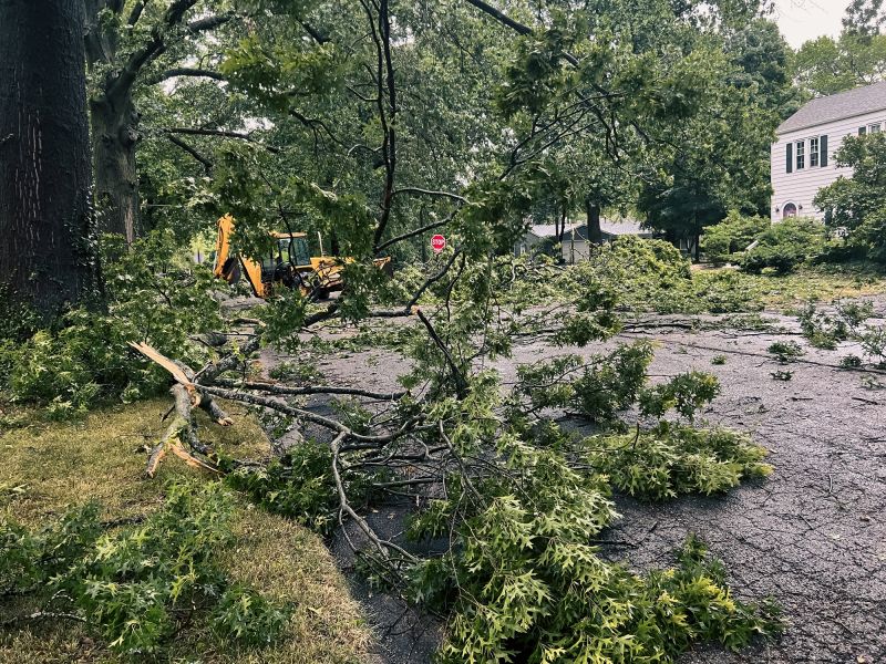 Limbs Removal in Ventura County, CA