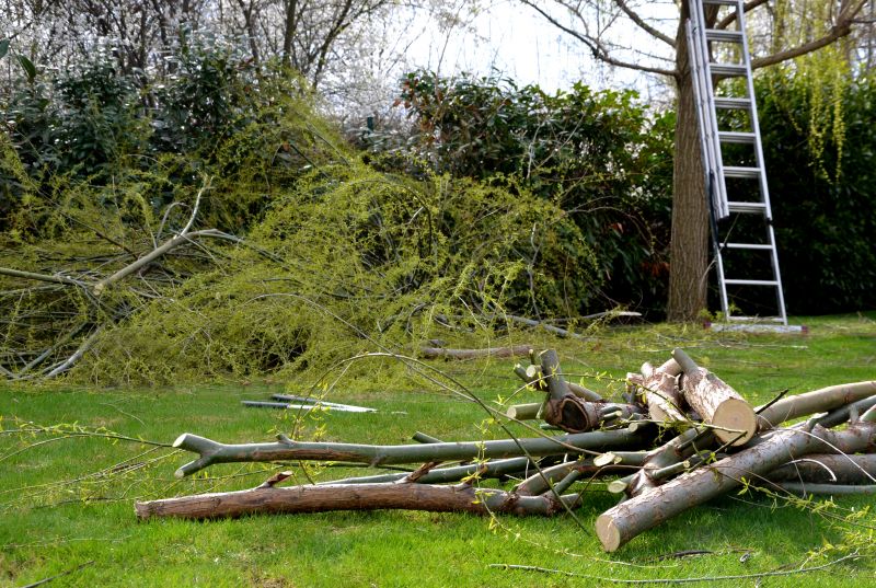 Limbs Removal in Honolulu, HI