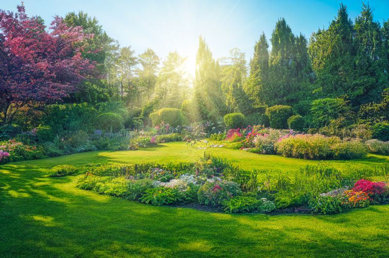 Water Landscaping Service in Ventura County, CA