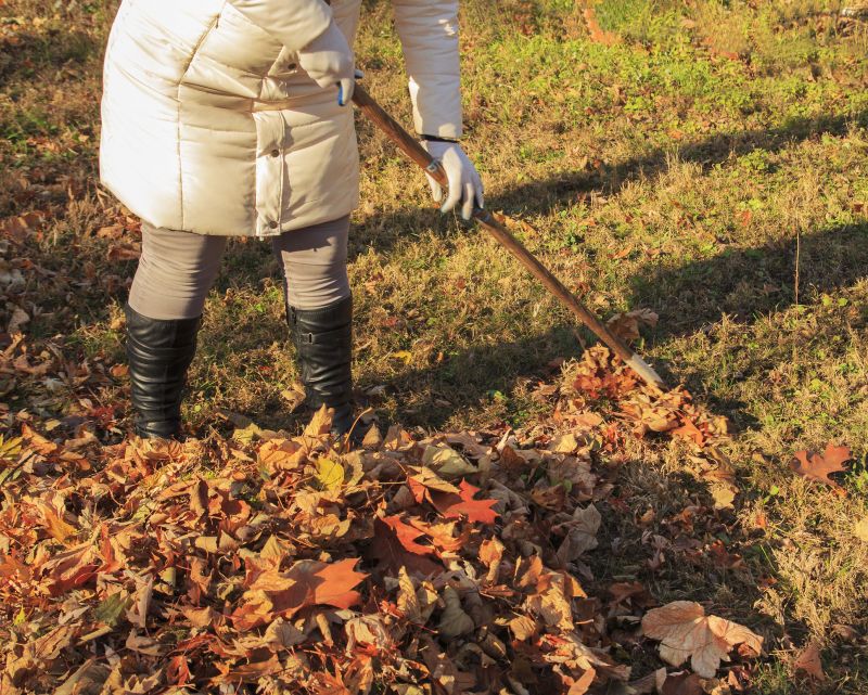Seasonal Yard Maintenance Companies