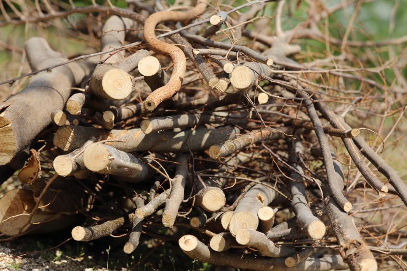 Wood Pile Removal in Ventura County, CA