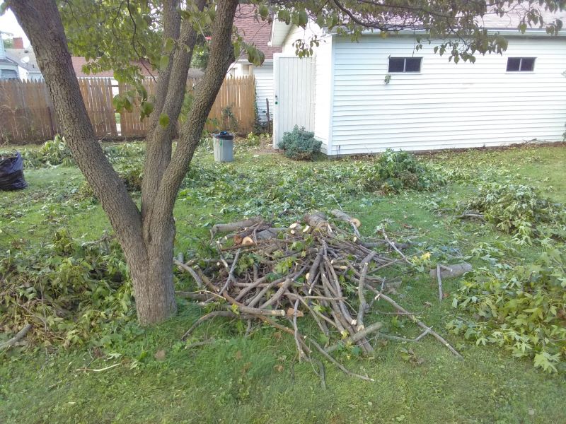Yard Cleanup Service in Honolulu, HI