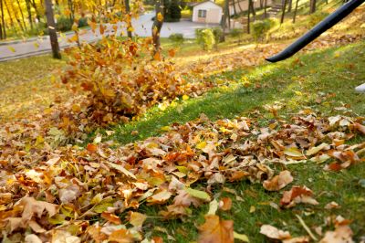 Leaf Blowing