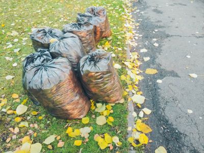 Remove Leaves from Your Residential or Commercial Property
